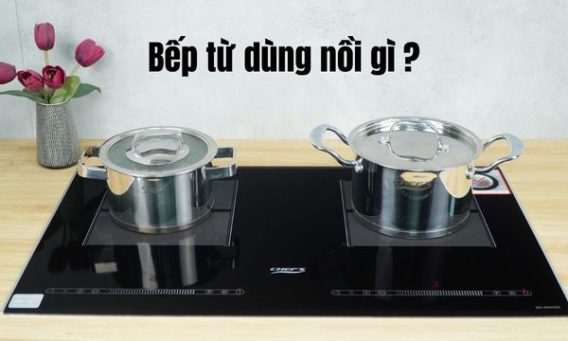 Bếp từ dùng nồi gì Nồi nào phù hợp với bếp từ Chefs